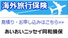 海外旅行保険 あいおいニッセイ同和損保