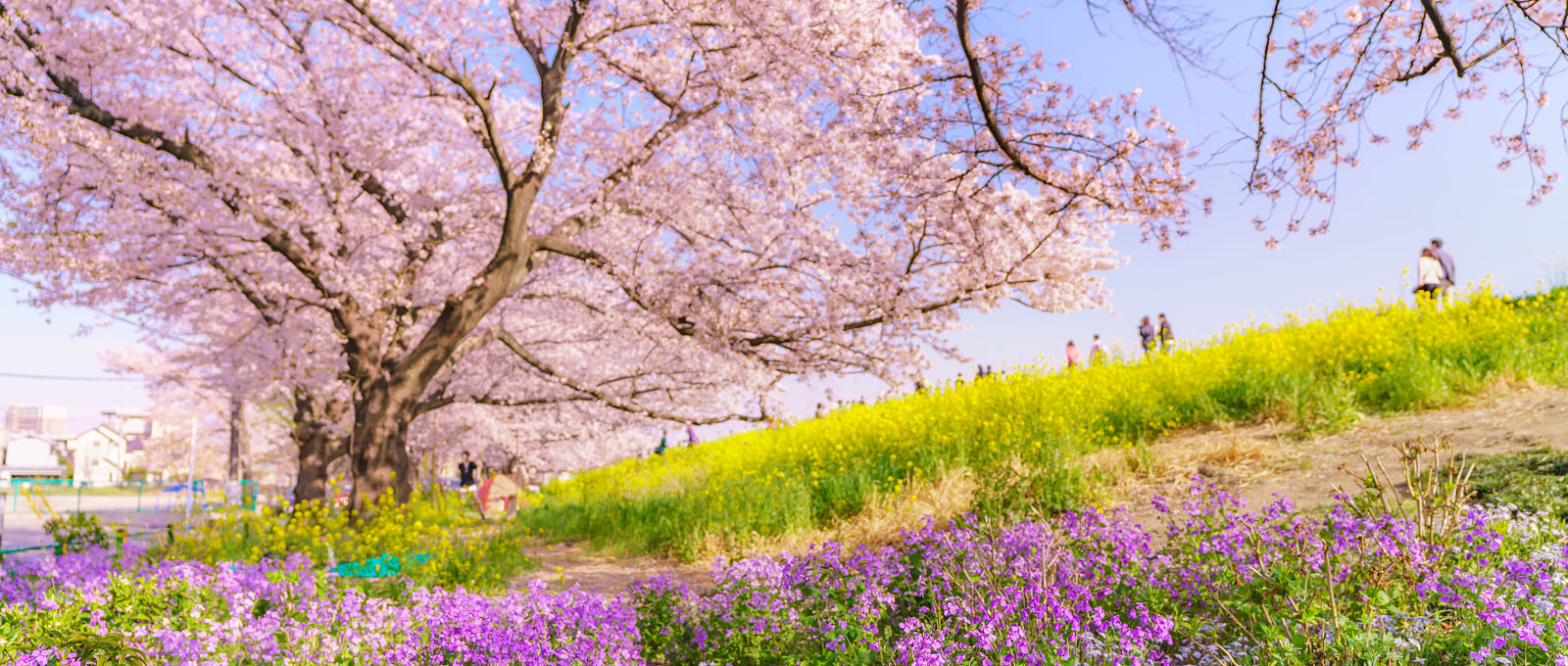 Northern area県北・県央部エリア